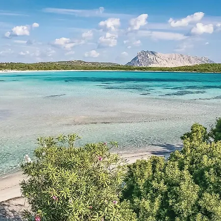 Apartment Le Dune Sorso